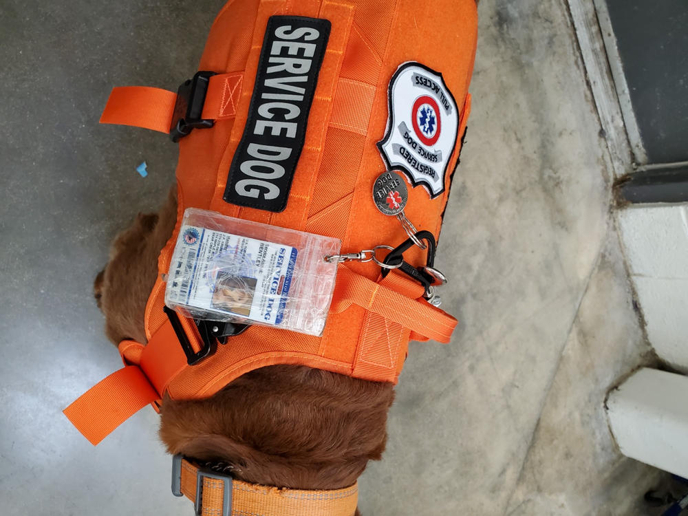 Service Dog Credential Package (Includes ID Card, 2 Service Dog Patches, ID Tag & Digital Certificate Bundle and Save $35) - Customer Photo From john krumsky