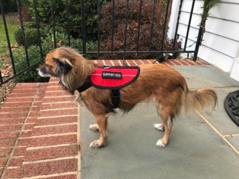 Bundle and Save on Vest - Customer Photo From Emily M.