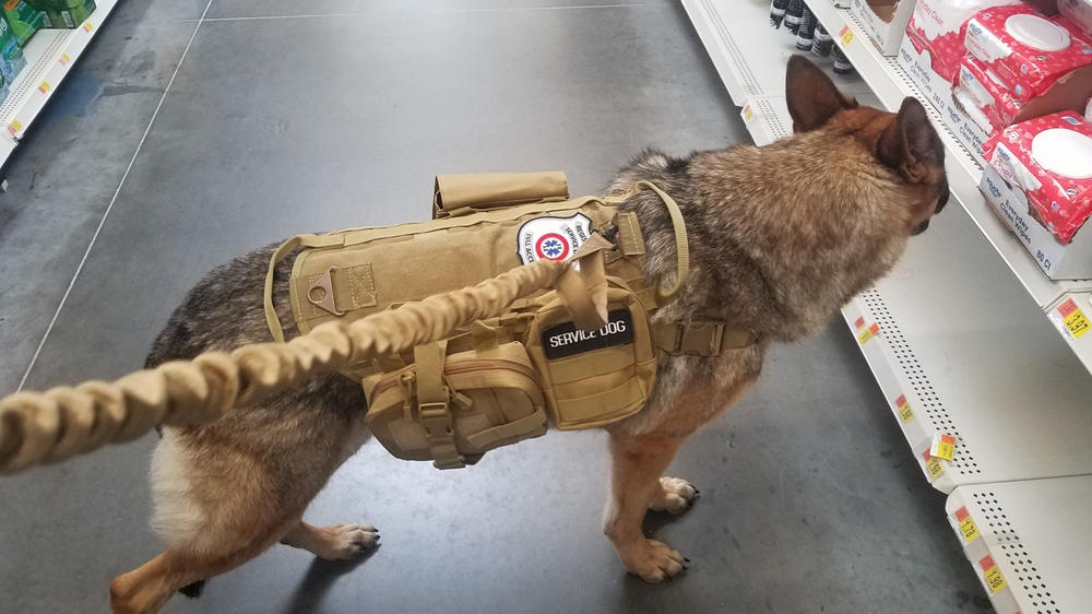 Heavy Duty Tactical Dog Vest & Leash - Customer Photo From Chad Heskett
