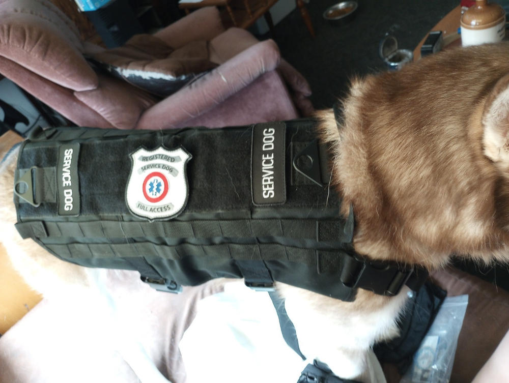 Heavy Duty Tactical Dog Vest & Leash - Customer Photo From Donald Wilcox