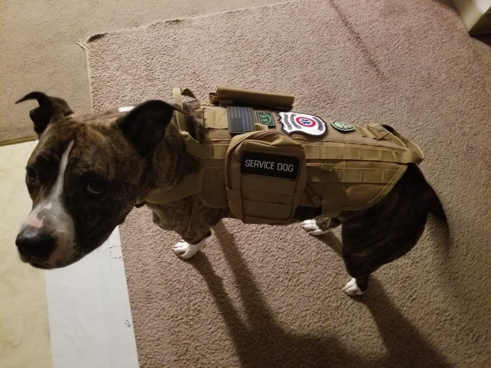Tactical Service Dog Vest Package – USA Service Animal Registration