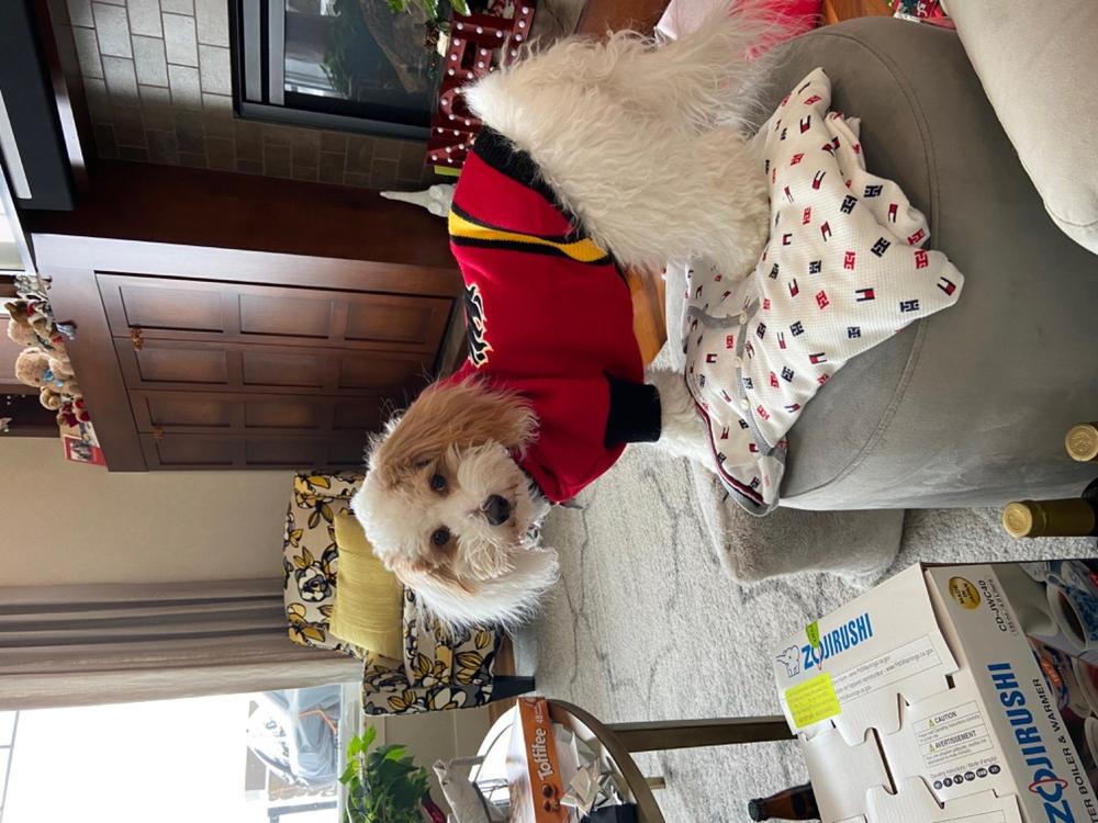Calgary Flames NHL Dog Sweater - Customer Photo From Walden C.