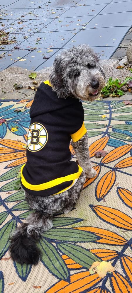 Boston Bruins NHL Dog Sweater - Customer Photo From Jillian A.