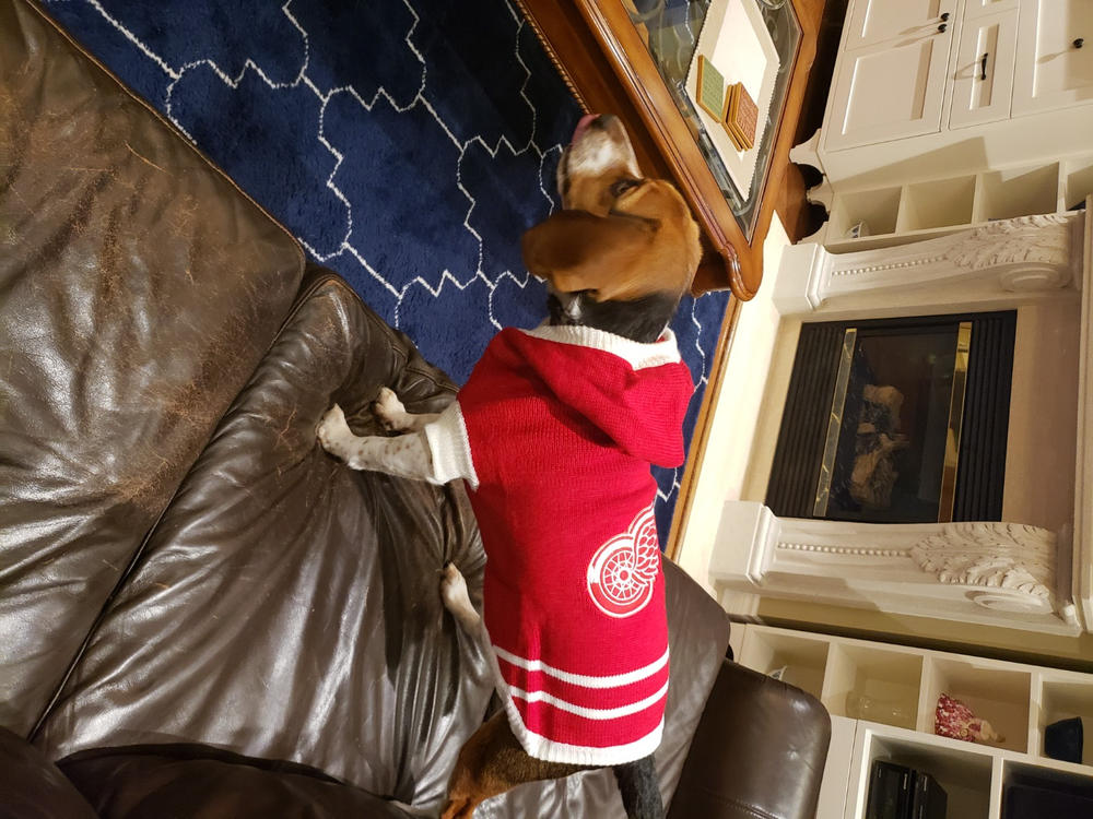 Detroit Red Wings NHL Dog Sweater - Customer Photo From David A.