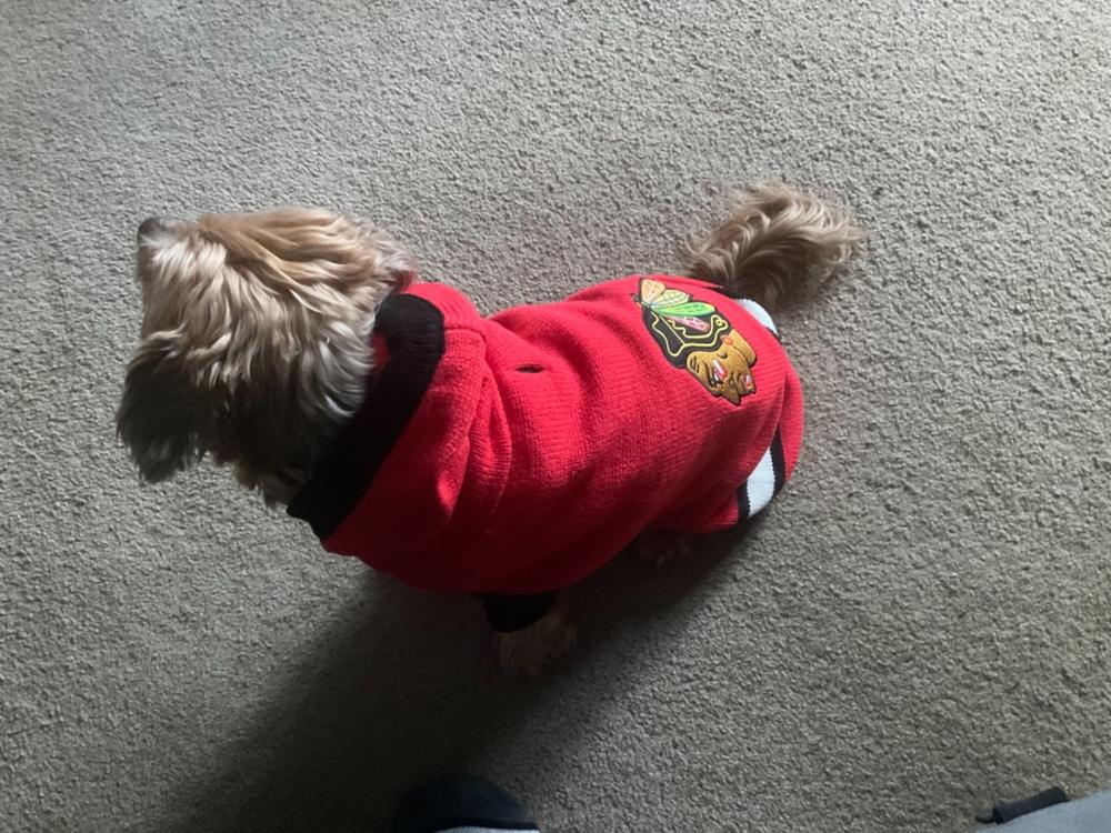 Chicago Blackhawks NHL Dog Sweater - Customer Photo From Bryan A.