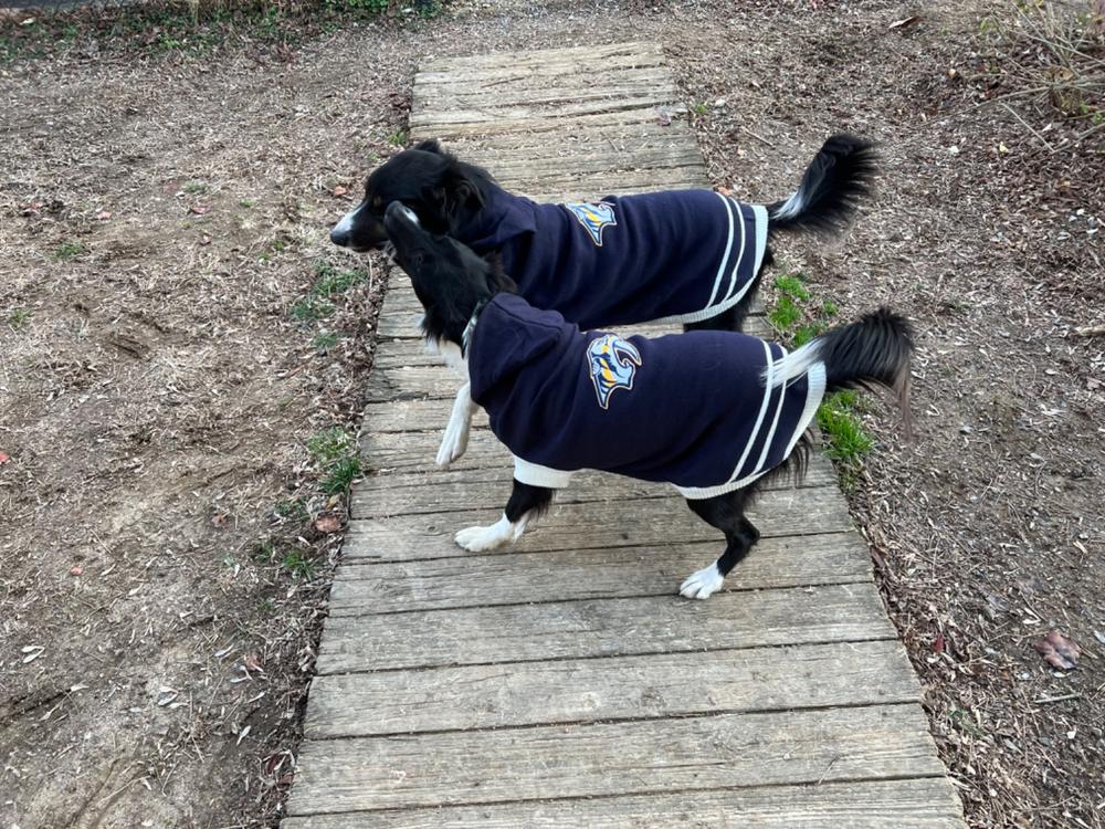 Nashville Predators NHL Dog Sweater - Customer Photo From Kimberly Chill