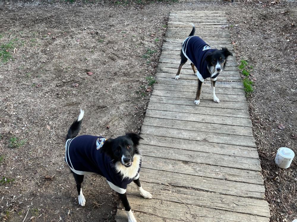 Nashville Predators NHL Dog Sweater - Customer Photo From Kimberly Chill