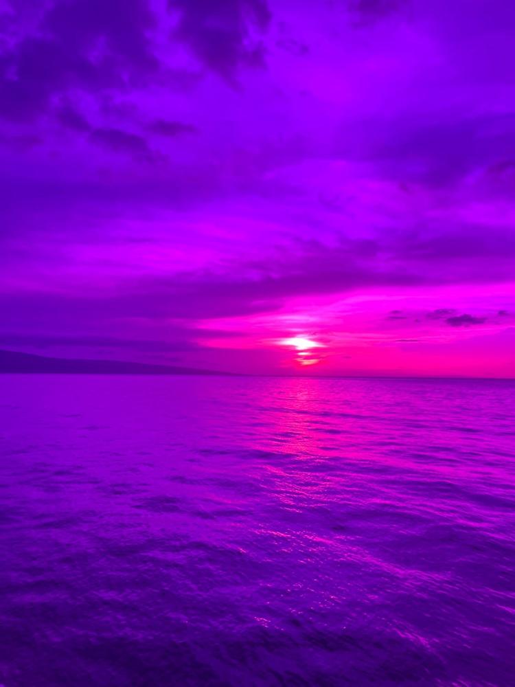 TRANSLUCENT - VIOLET - Customer Photo From Angie G.