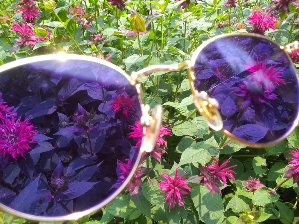 ROUND - INDIGO - Customer Photo From Amber R.