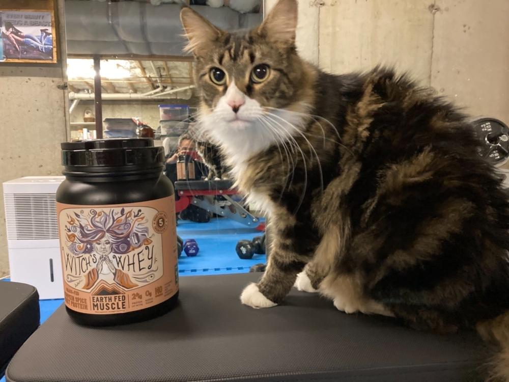 Witch’s Whey Pumpkin Spice Grass Fed Protein - Customer Photo From James VanDyke