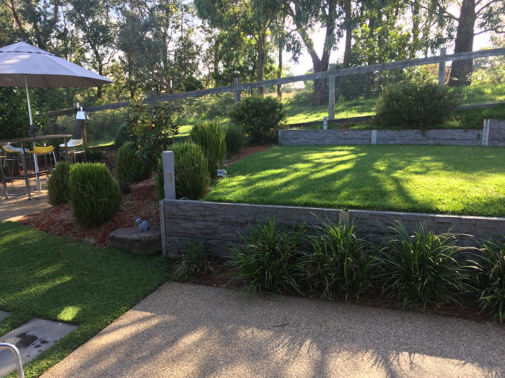 3-Day Green Lawn Fertiliser Concentrate - Customer Photo From Gary McCormack
