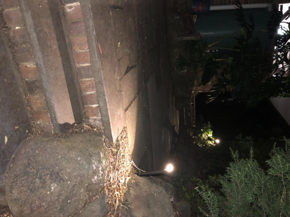 Solar Path Lights | Motion Sensor | 1LED | 2 Pack | ELLIPSIS - Customer Photo From Michelle Williamson