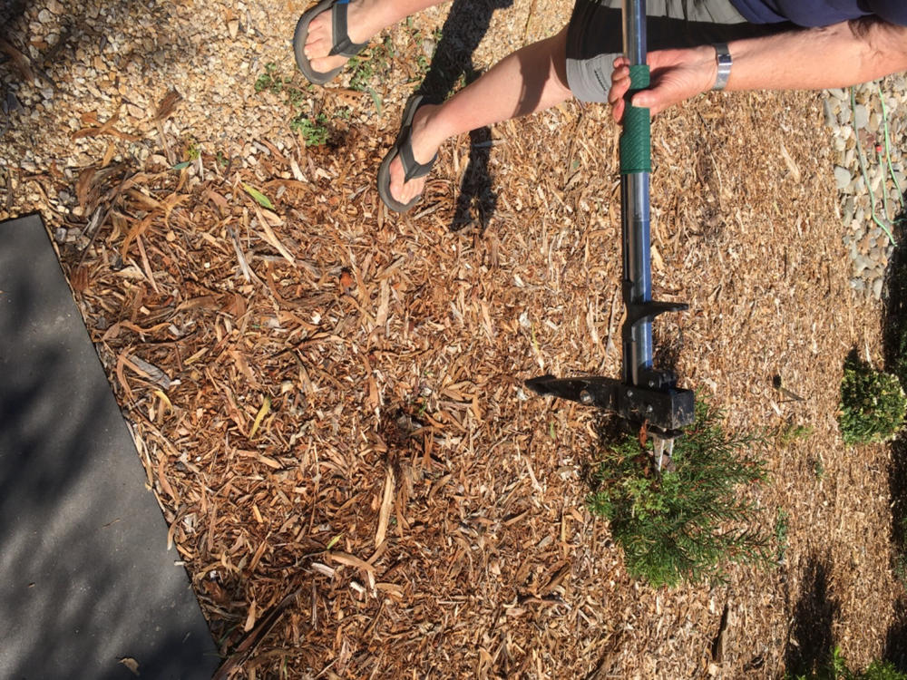 Stand-up Weed Puller - Customer Photo From Rosemary Hansen