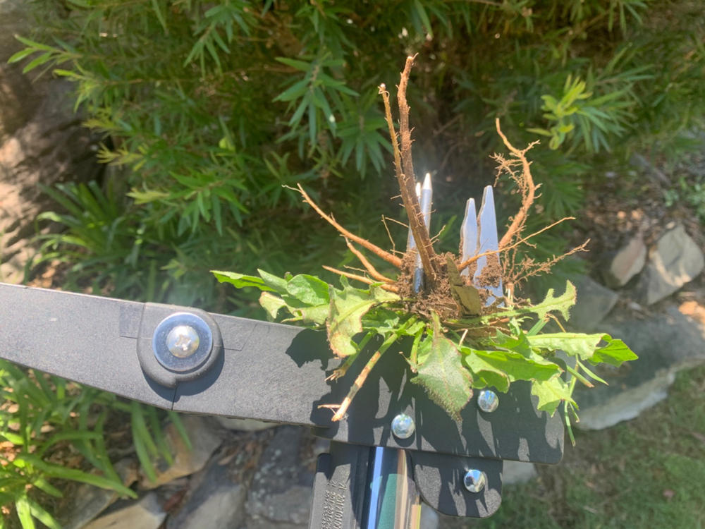 Stand-up Weed Puller - Customer Photo From Gerry Prout
