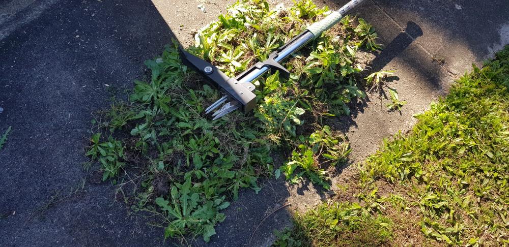 Stand-up Weed Puller - Customer Photo From Gary Osborn
