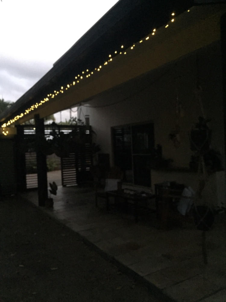 Solar Fairy Lights | Warm White | 150 LED | 16.5m | PIXIE - Customer Photo From Kerry DeLany