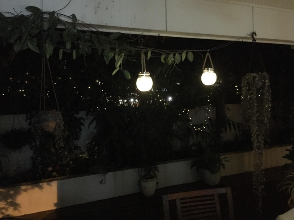 Solar Fairy Lights | Cool White | 150 LED | 16.5m | PIXIE - Customer Photo From Susan Poupard