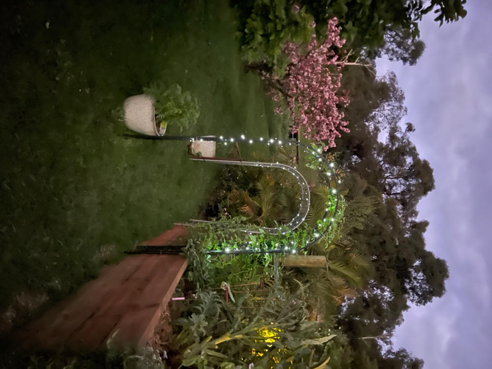Solar Fairy Lights | Cool White | 150 LED | 16.5m | PIXIE - Customer Photo From Lisa Leckie
