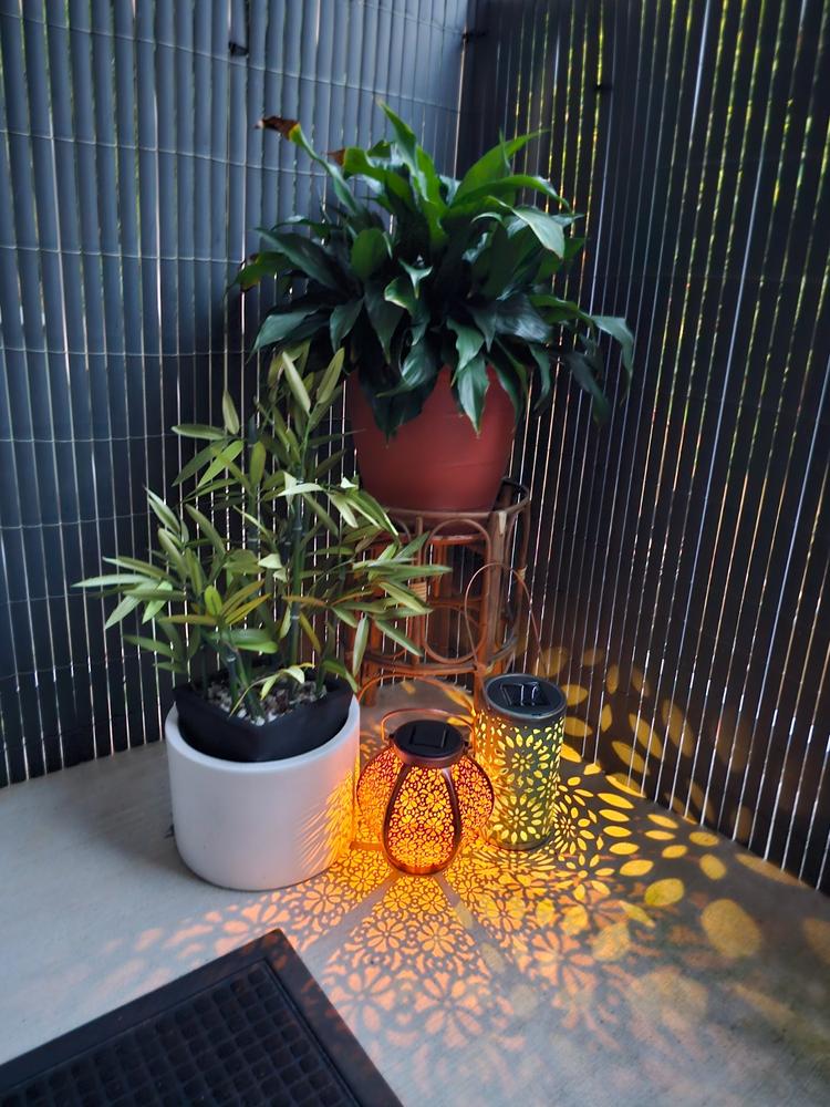 Decorative Solar Lantern Light | 1LED | MANDALA - Customer Photo From Liz Turner