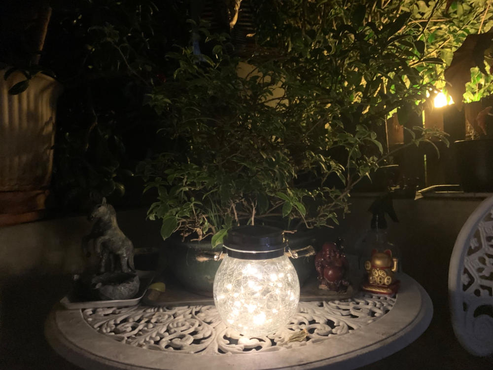 Solar Jar Light | Crackle Glass Lantern | 40LED | SPARKLE - Customer Photo From Johanna Lopez