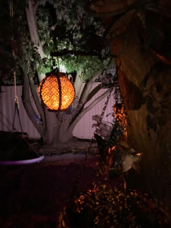 Moroccan Inspired Solar Lantern | 1LED | BAZAAR - Customer Photo From Debbie Thompson