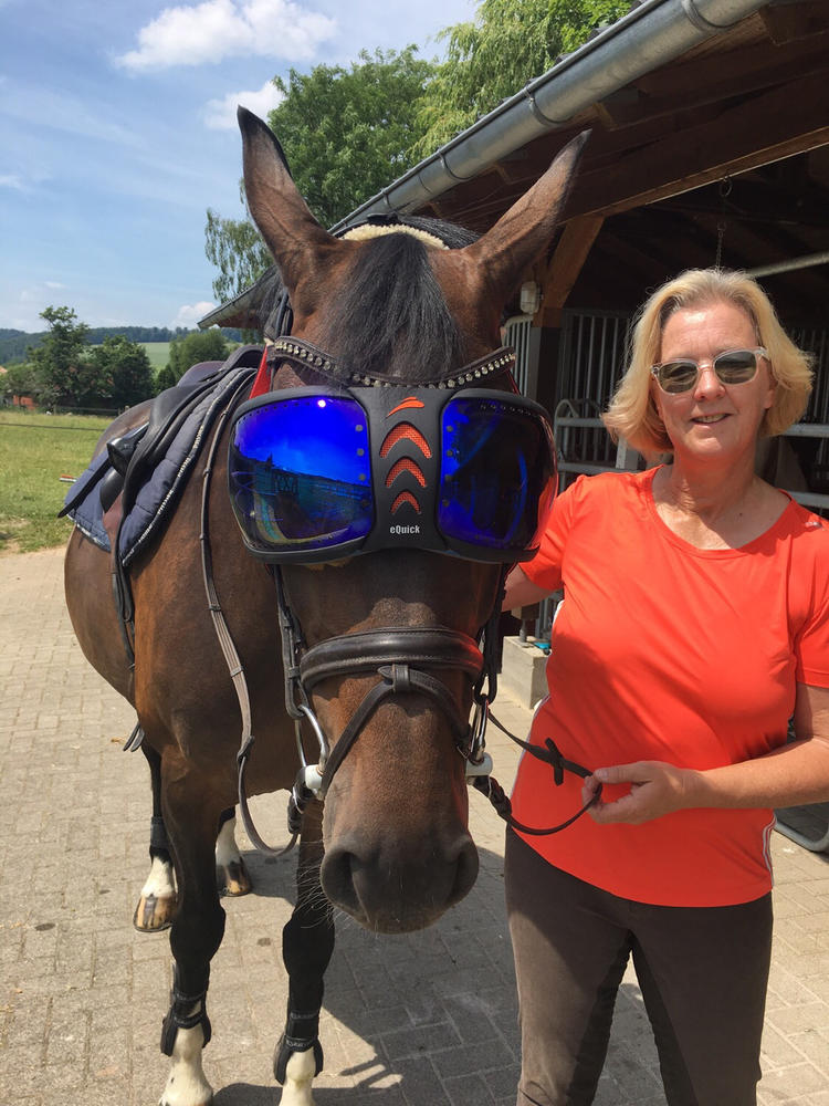 eVysor eQuick 100% anti-UV horse mask - blue mirror - - Customer Photo From Ina Kersting