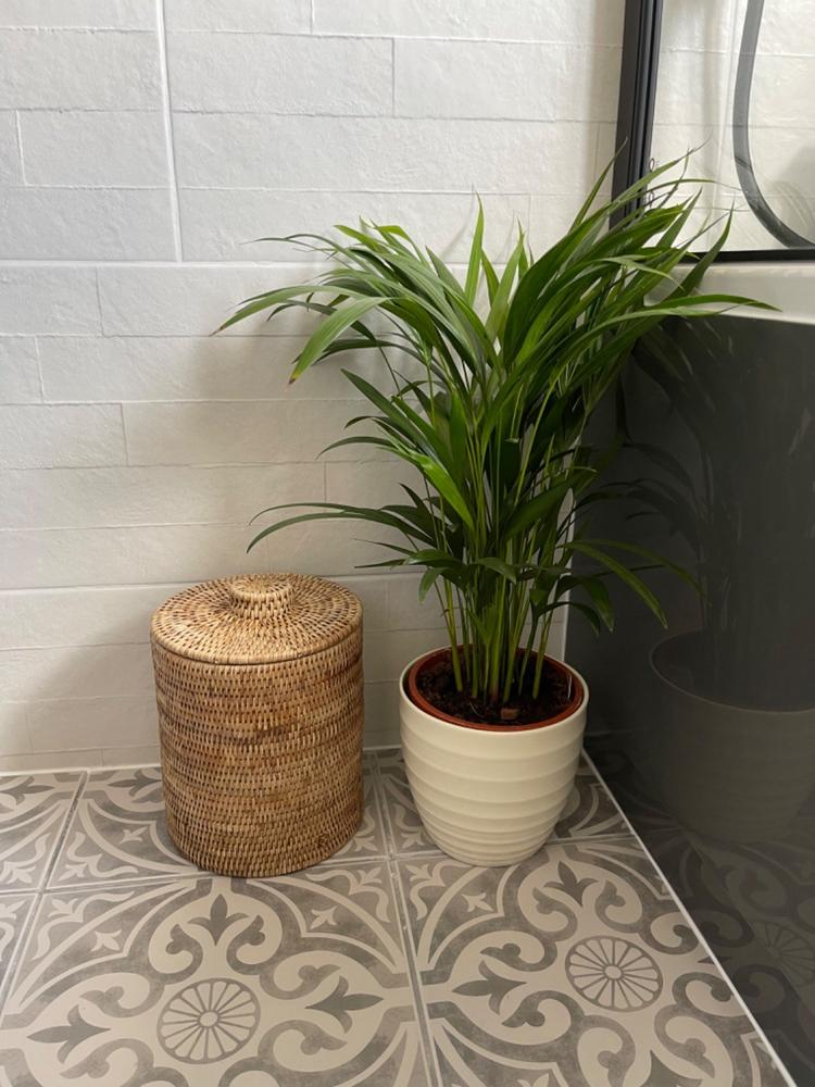Strand Rattan Bathroom Bin | Natural - Customer Photo From Anonymous