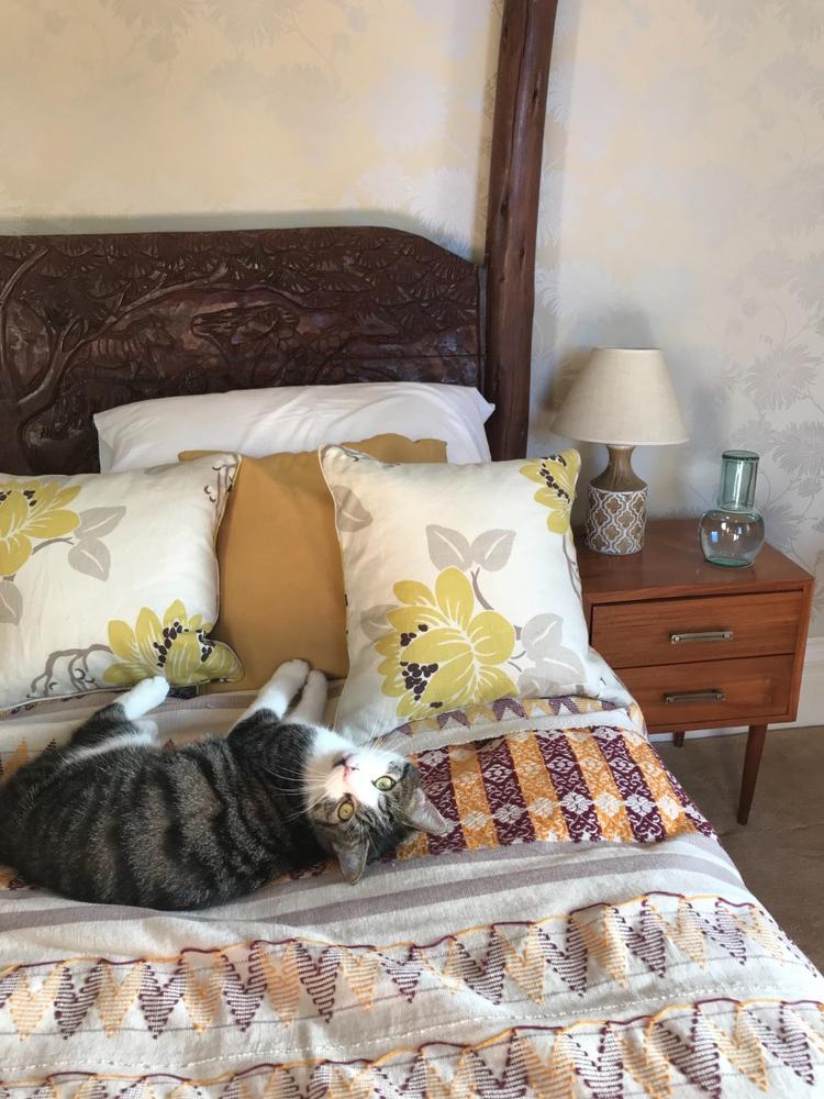 Zomi Carafe & Glass - Customer Photo From Verity Ramsden