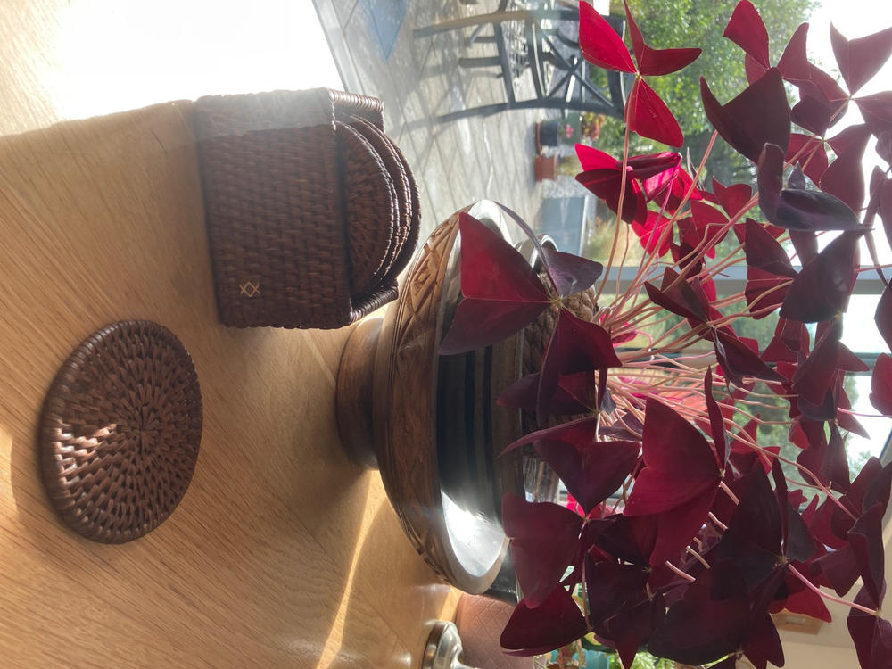 Latha Coasters in Tub | Set of 6 |  Brown - Customer Photo From Anonymous