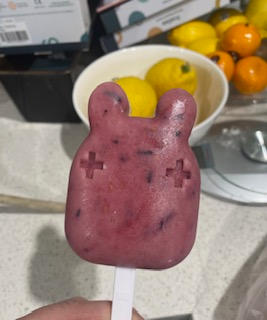 Frosties Icy pole Mould - Dusty Rose - Customer Photo From Tania Mourad