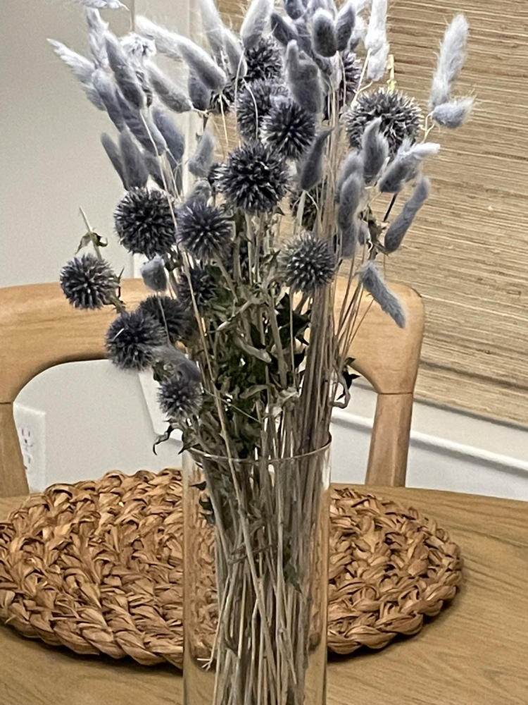 Echinops (Globe Thistle) - Navy Blue - Dried Flowers Forever - DIY