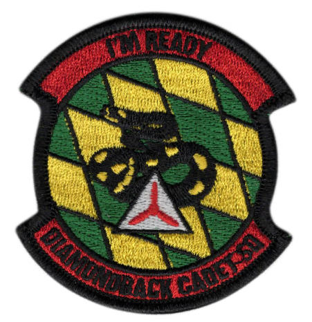 レア】米海軍 岩国基地 VAQ-141 レザーパッチ 米海兵隊 第121海兵戦闘