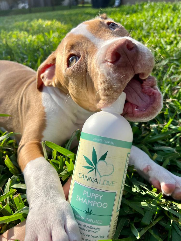 CannaLove Puppy Shampoo Hemp Infused