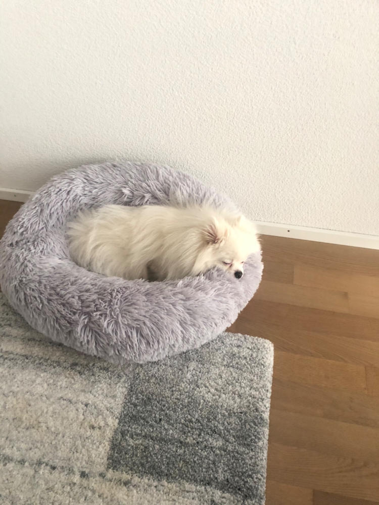 Calming Pet Bed Pawsome Couture