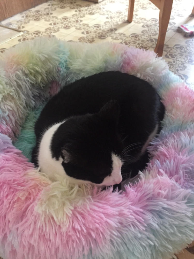 Calming Pet Bed Pawsome Couture