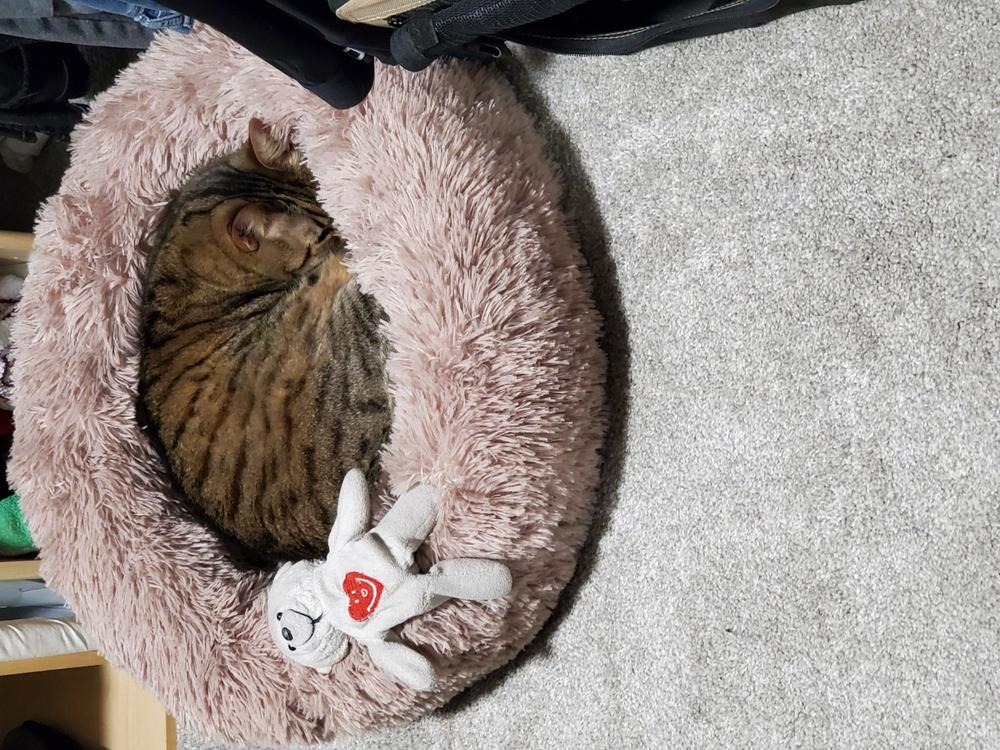 Calming Pet Bed (Pre Order Ships Dec 10) Pawsome Couture