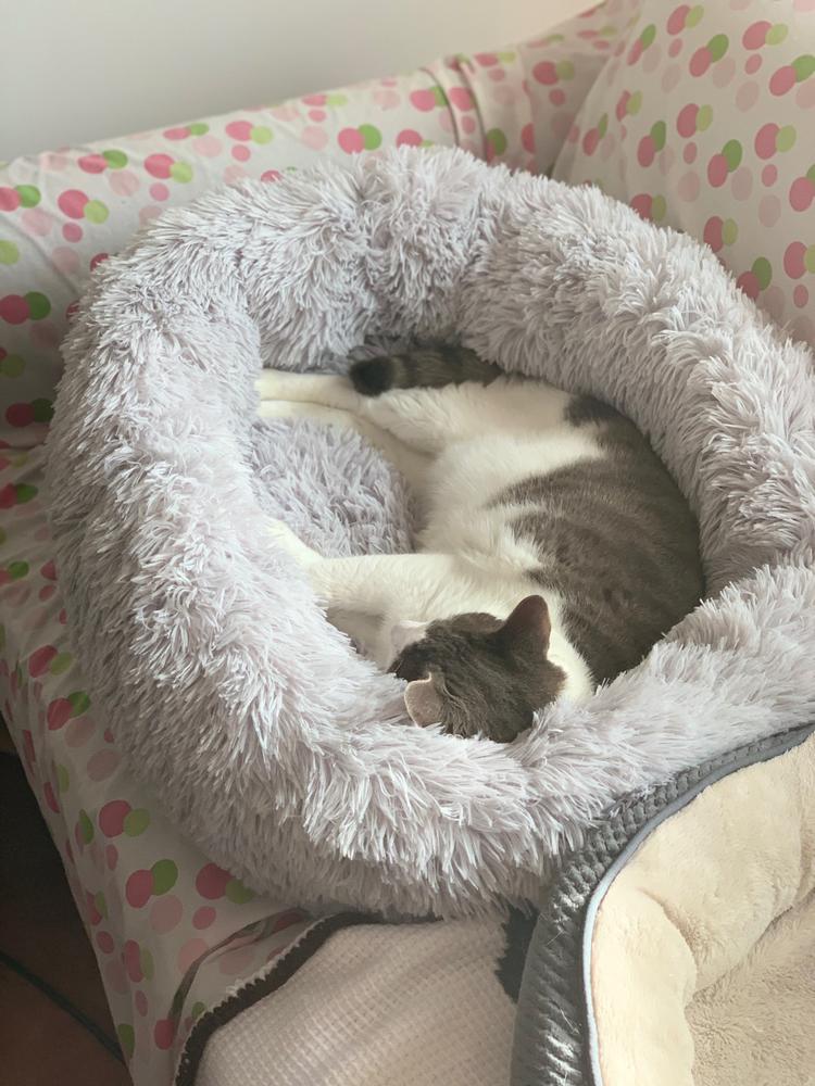 Calming Pet Bed Pawsome Couture