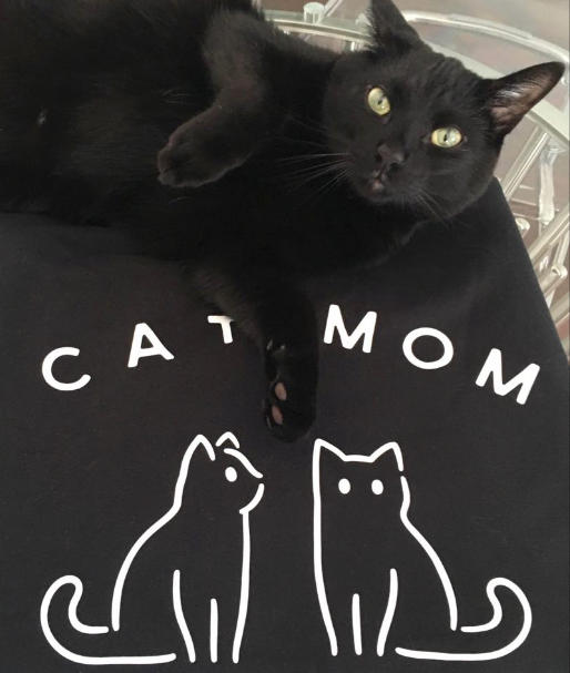 cat mom jumper