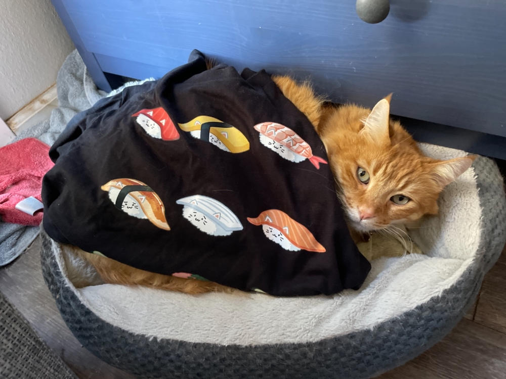 Sushi cat clearance bed