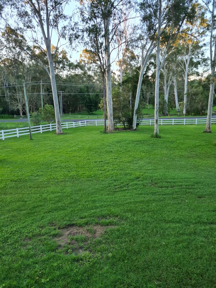PVC 3 RAIL FENCING 2 Way Post (Inline Post) - 2050mm long 127 x 127mm square. With Slimline Post Cap - Customer Photo From Scott W.