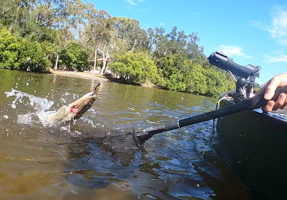 Railblaza Kayak Rod Holder - Freak Sports Australia