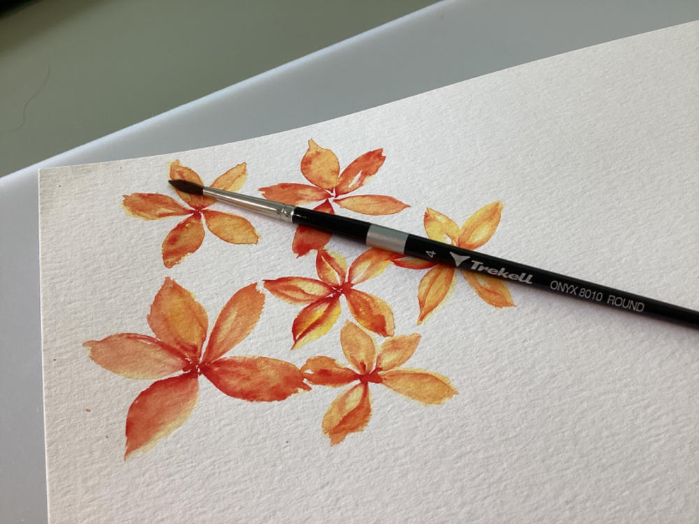 Trekell Onyx Synthetic Squirrel Short Handle Artist Brushes For Watercolor Painting - Customer Photo From Pamela Newton