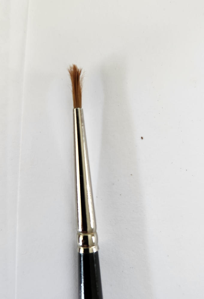 Trekell Sienna Synthetic Red Sable Long Handle Artist Brushes for Oil, Watercolor and Acrylic Painting - Customer Photo From Jim Coe