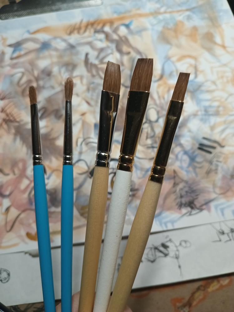 Trekell "Not Too Bad" Natural Hair 6-Pack Artist Brush Sets - For Oil and Watercolor Painting - Customer Photo From Tori C.