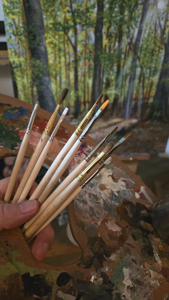 Trekell "Not Too Bad" Synthetic Hair 6-Pack Artist Brush Sets - For Oil, Acrylic and Watercolor Painting - Customer Photo From Chris White