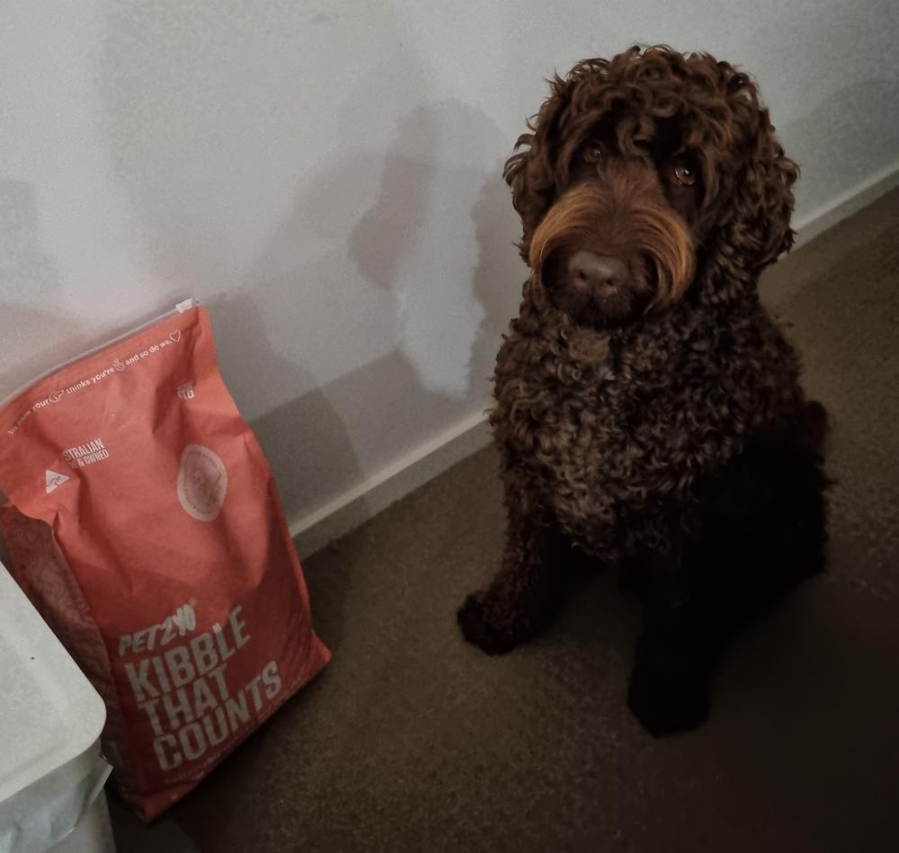 16kg of Kibble That Counts - Salmon and Ocean Fish with Green Lipped Mussels - Customer Photo From Susie K.