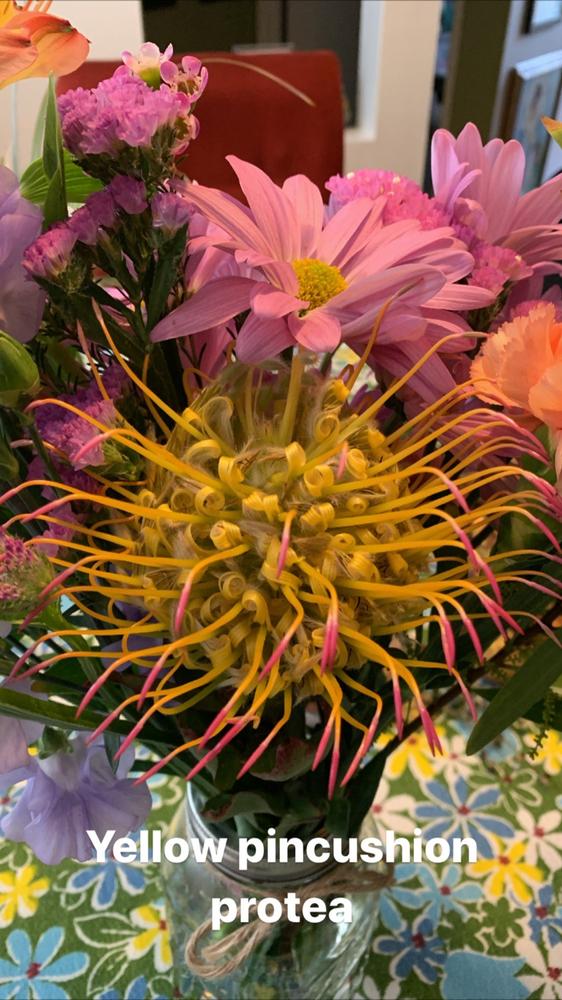 Classic Locally-Grown Flower Wrap – Native Poppy