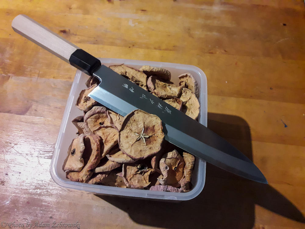 SebSteelWorks Single Bevel Gyuto 220mm — The Knife Roll