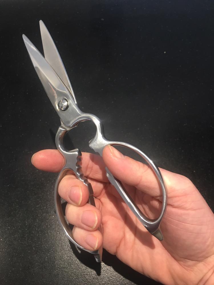 Kagayaki Kitchen Shears