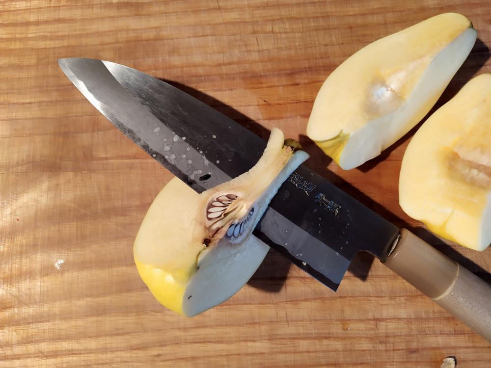 Spyderco Wakiita Bunka Santoku Kitchen Knife k18gp – Atlantic